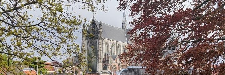 Alyssa Voorwald banner