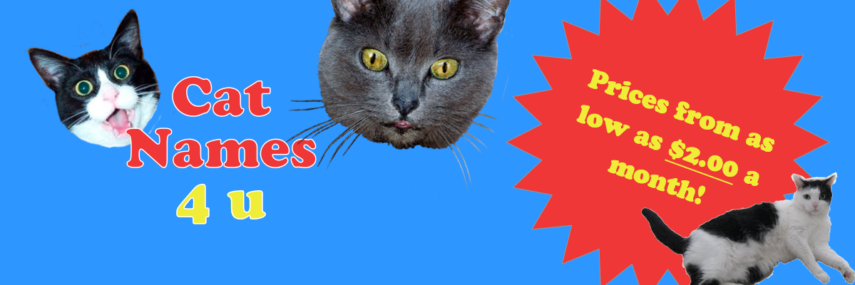 catnames4u's profile banner image