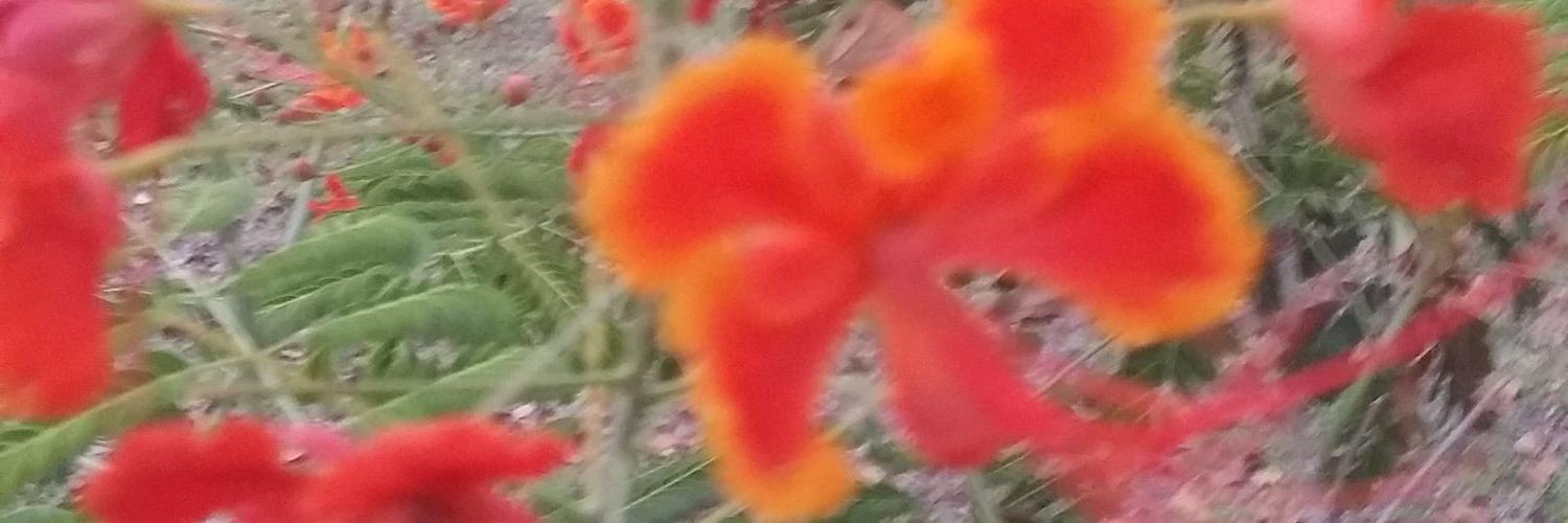 eliakarina19's profile banner image