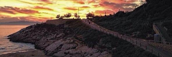 LauraFrali's profile banner image