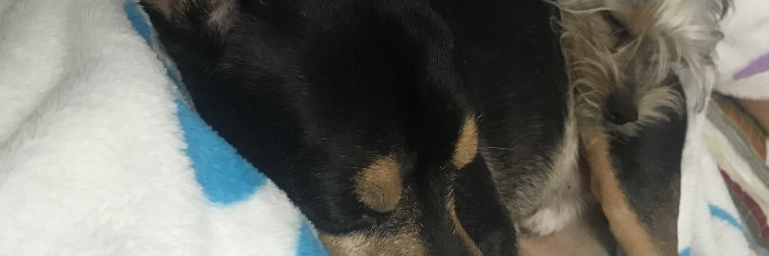 abbesolis's profile banner image