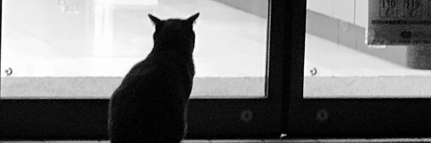 こいくち(旧こうくち) banner