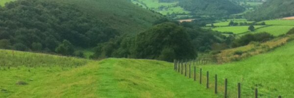 Dave_Beeley Profile Banner