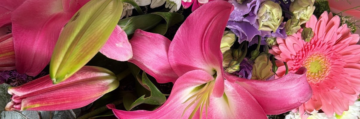 AponteAndrea__'s profile banner image