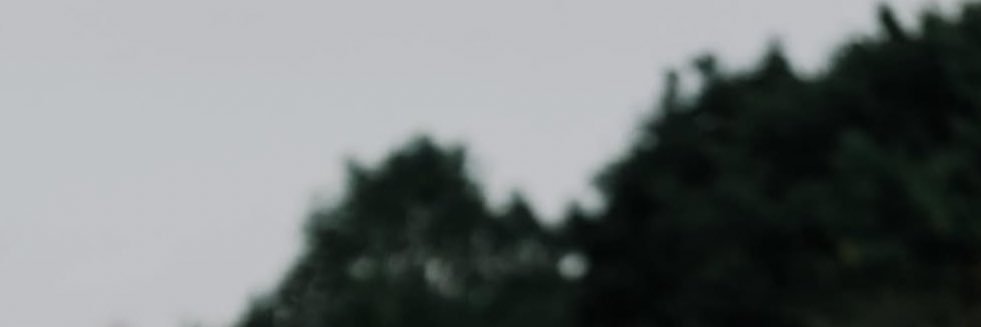 oxytaecin's profile banner image