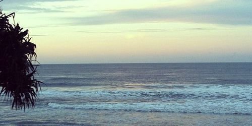 Marisuu9's profile banner image