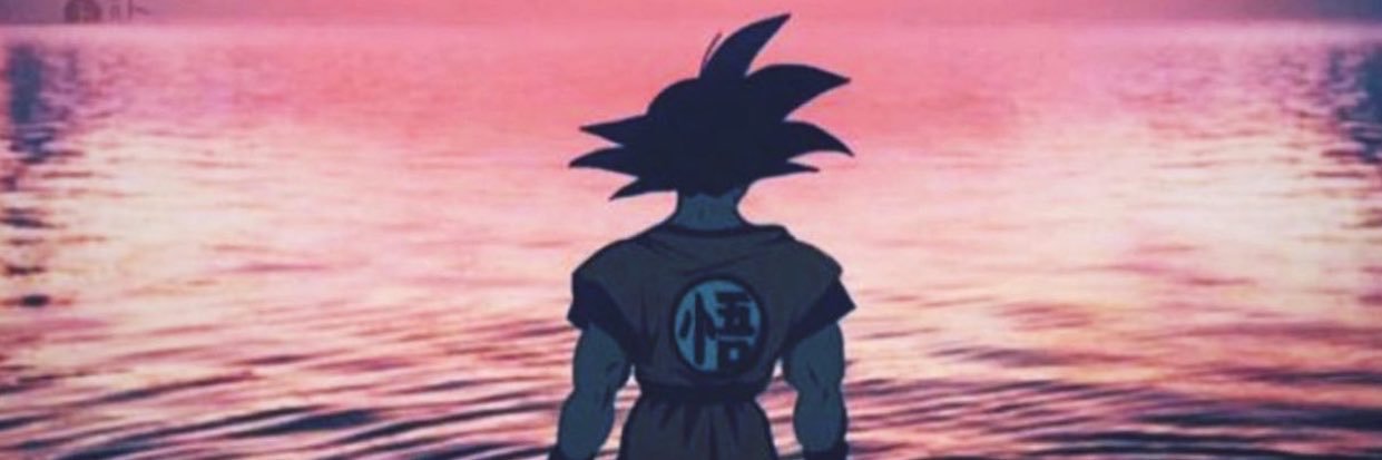 birdwxy's profile banner image