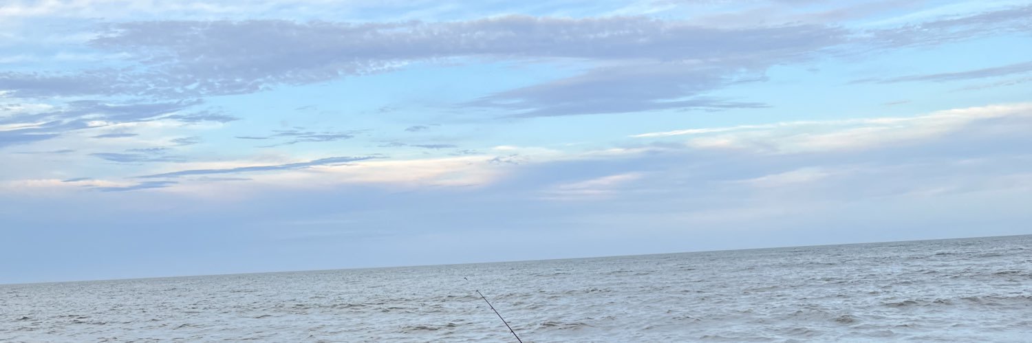 RachelVeno's profile banner image
