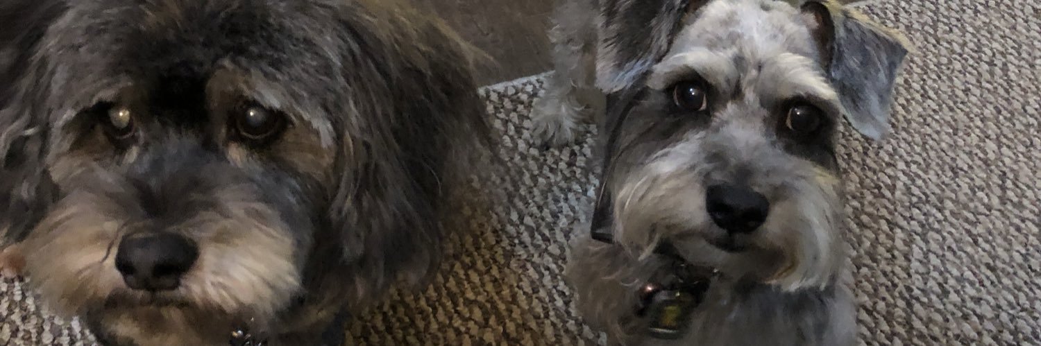 Erica Swegler, M.D. banner