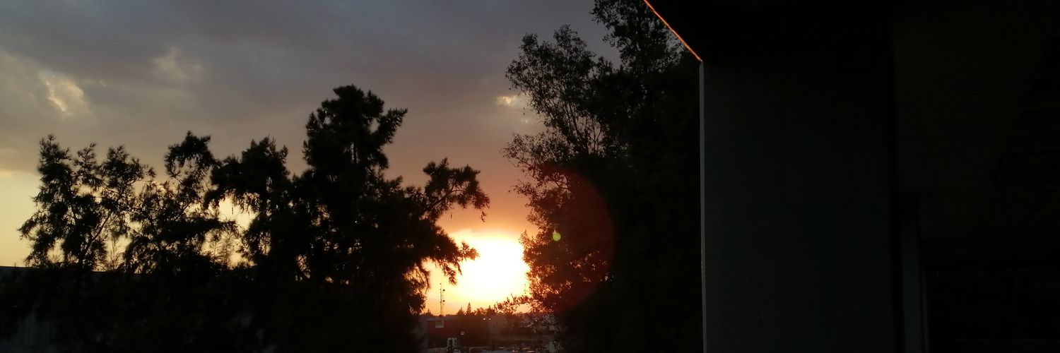 Ines_R_S's profile banner image