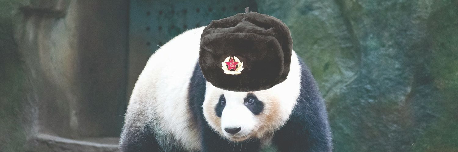 javipelillos's profile banner image