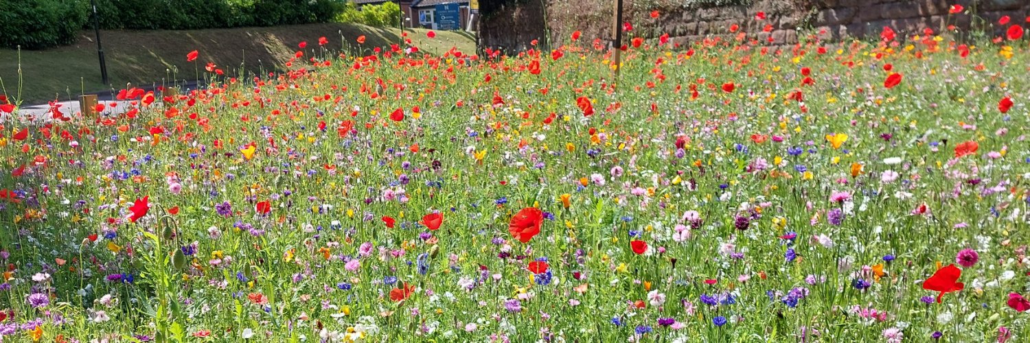 Lichfield City Council banner