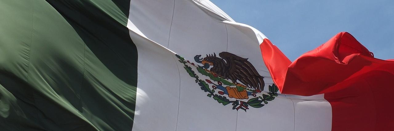 Coalición por el Acceso Legal a la Cultura banner