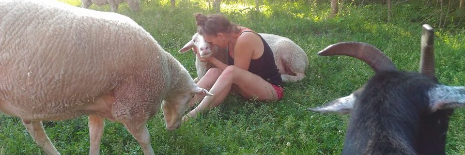 AmyLeoAmy's profile banner image