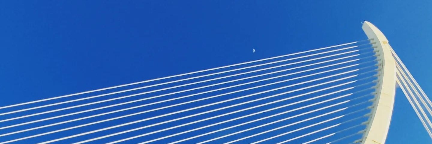 ECampi11's profile banner image