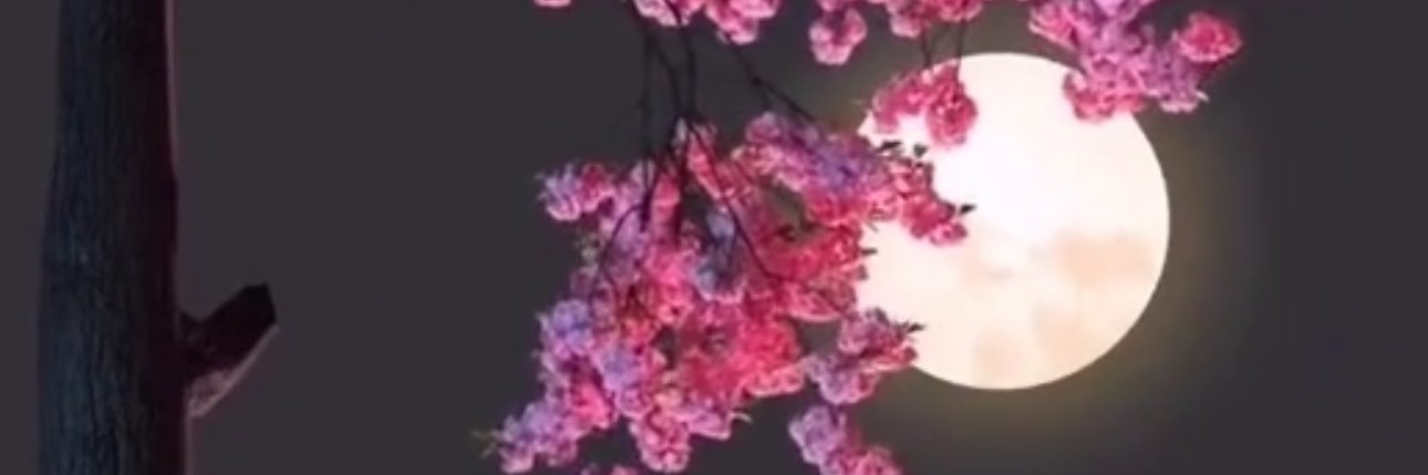u6ixu's profile banner image