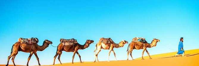 Khalif Sh Omar banner