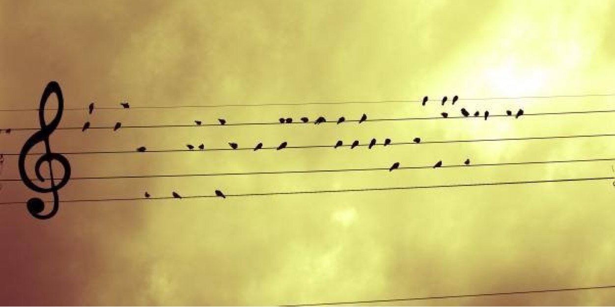 PixieLz's profile banner image