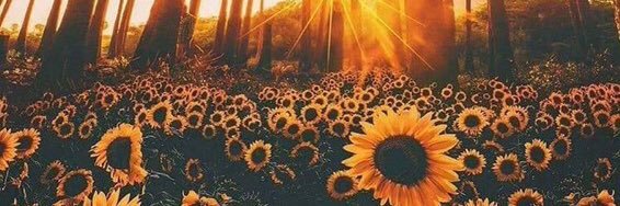nakaylahkohn's profile banner image