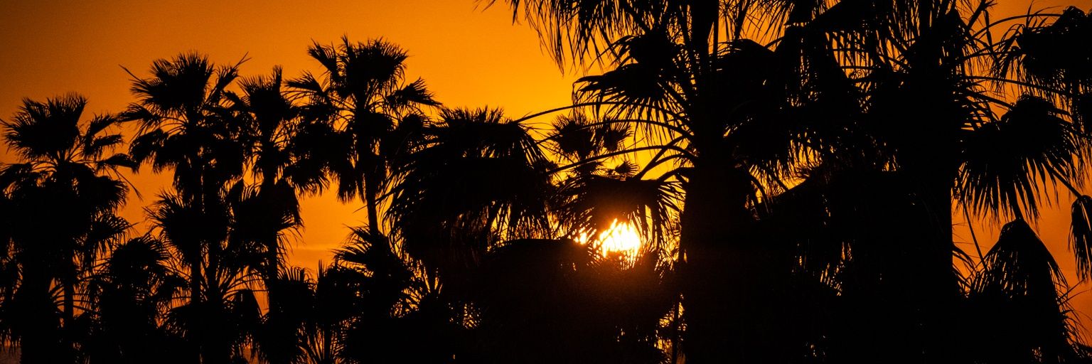 AmandaRaeF82's profile banner image