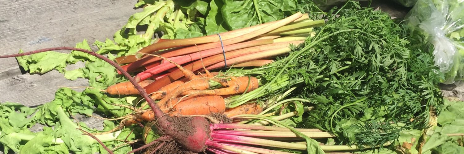 DalUrbanGarden's profile banner image