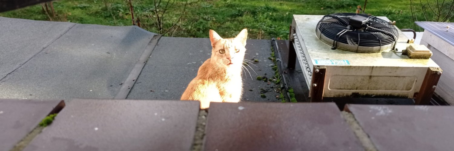 Davide Beraldo banner