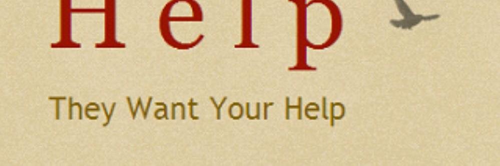 wantyourhelp's profile banner image