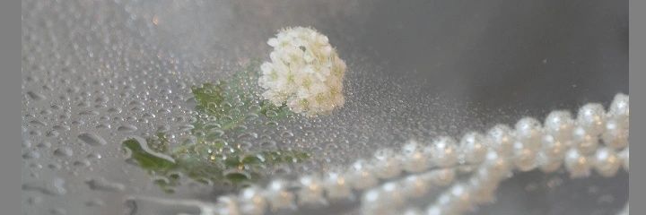 risarisatic's profile banner image