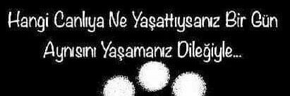 nejlamuratoglu's profile banner image