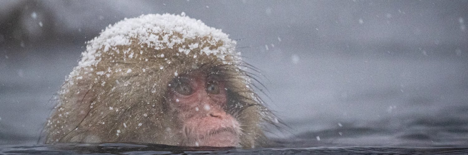 ℚ(きゅう) banner