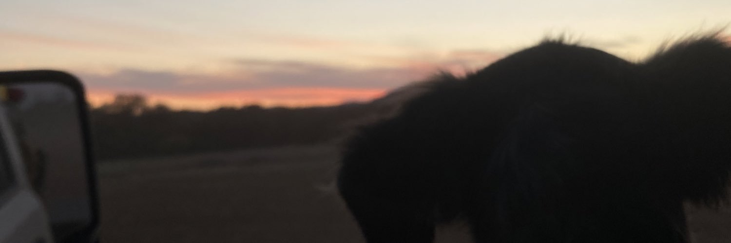 VictoriaDav_'s profile banner image