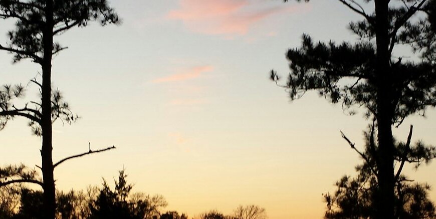 CrewsJacob's profile banner image