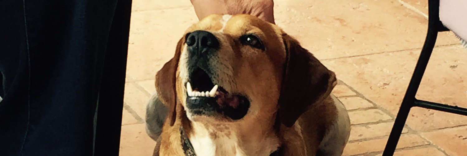 NMTarraga's profile banner image