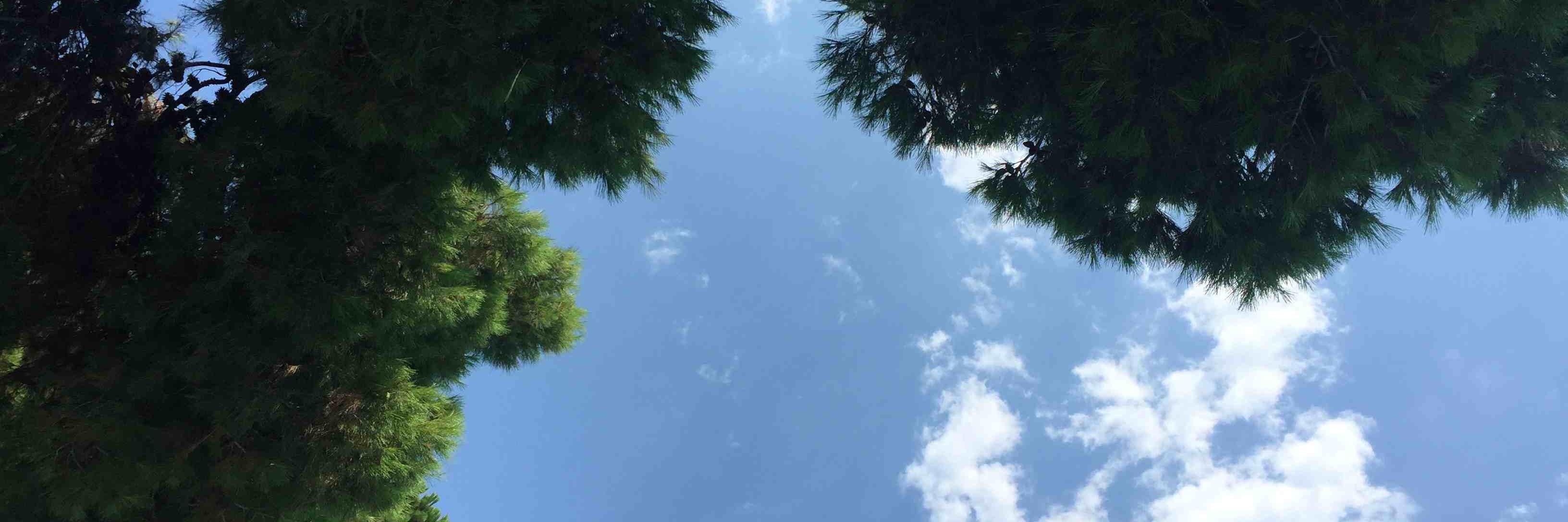 NicoTorrisi's profile banner image