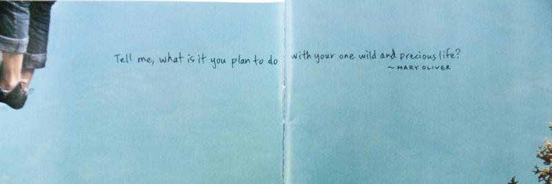 Lynsey Morandin banner