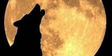 orgiva1973's profile banner image