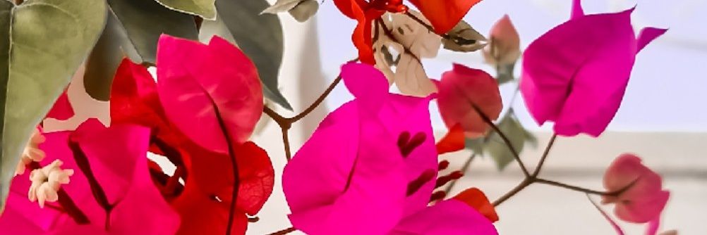 t2miii's profile banner image