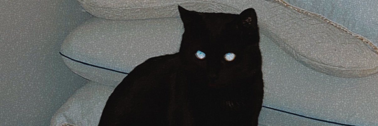 merxwell's profile banner image