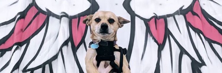 kaylawesty's profile banner image