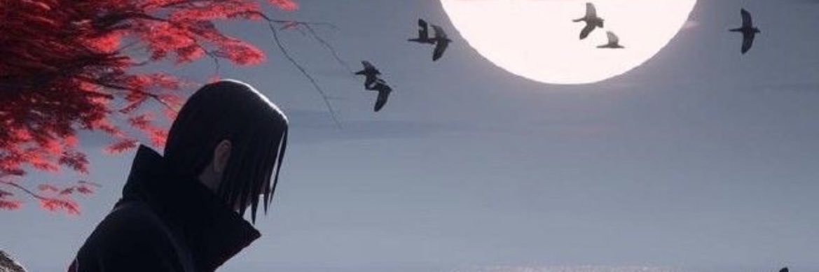 HadriTygre's profile banner image