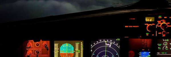 PENI_PLANE Profile Banner