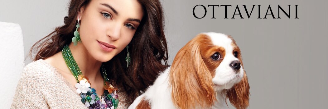 OttavianiLaura1's profile banner image