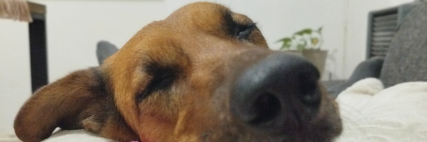 KMontenegro_'s profile banner image