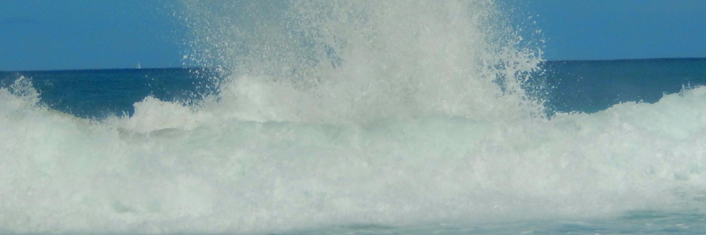 ciafitz's profile banner image