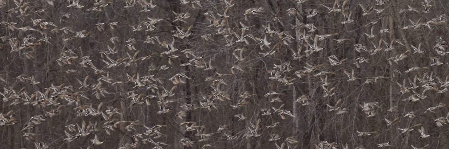 GraysonSlagle's profile banner image