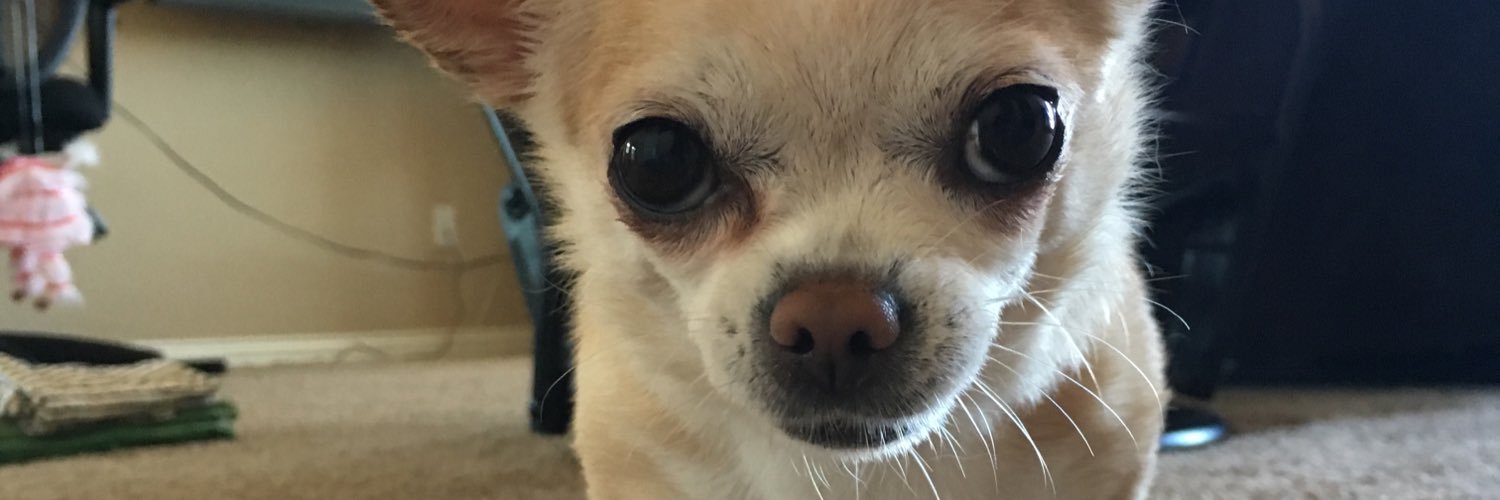spacedustlatte's profile banner image