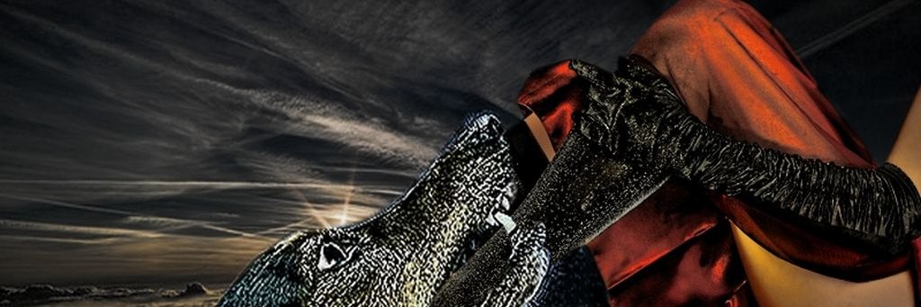 EILIANNE's profile banner image