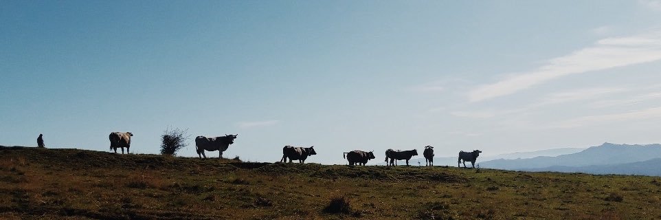 mbonamaison4's profile banner image