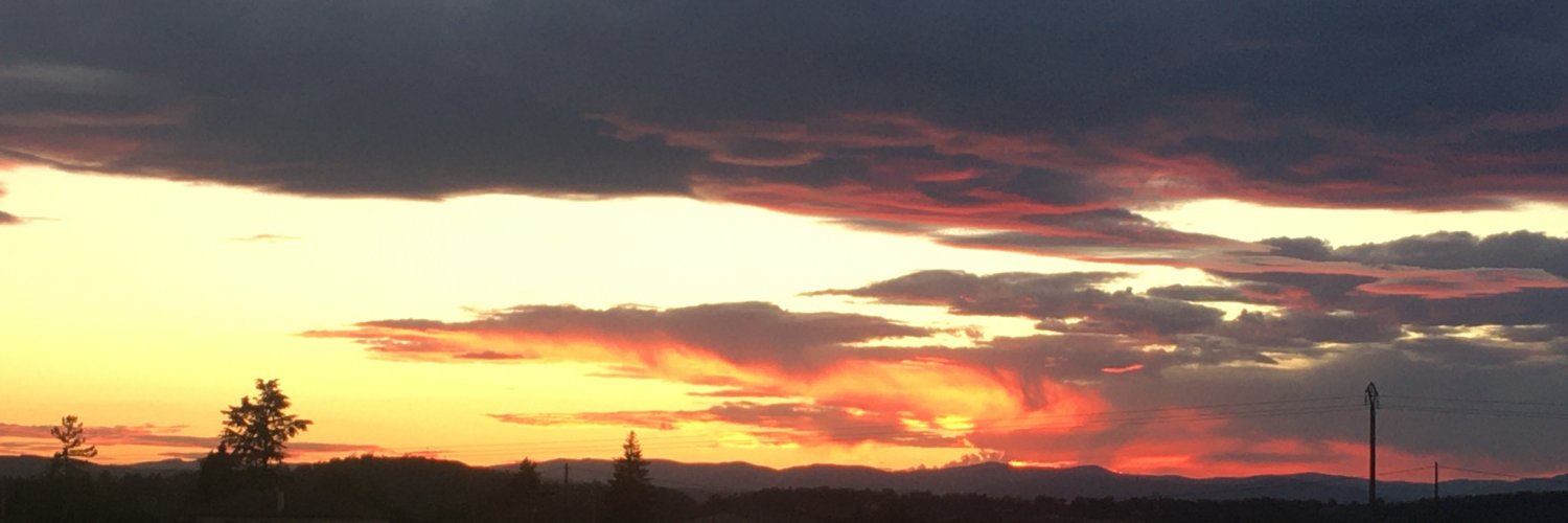 PONS Philippe banner