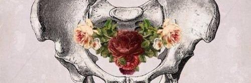 ojos_paramo's profile banner image
